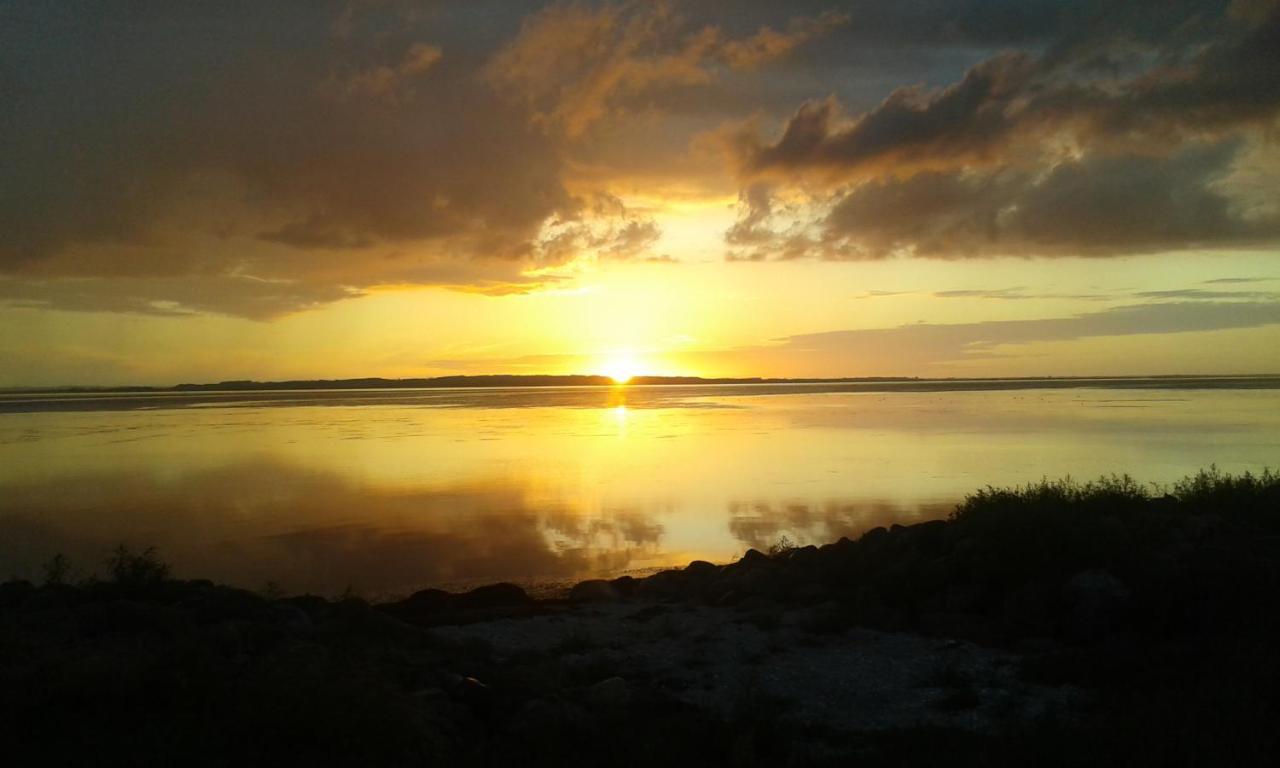 Wellness Oase Med Sauna, Fodbad Og Hojhastighed Internet I Naturens Fred Og Ro Nibe Exterior foto
